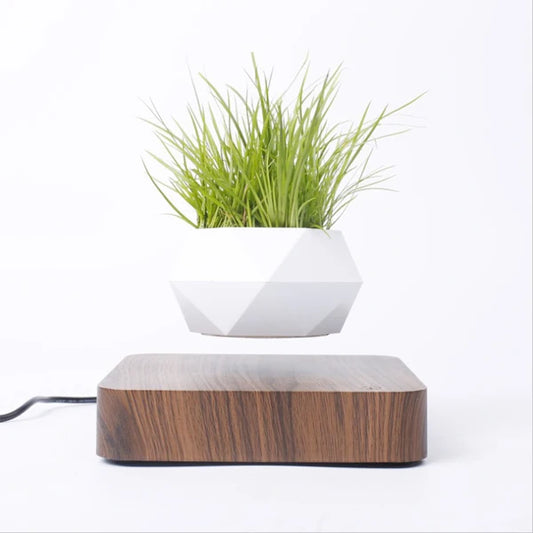 Levitating Magnetic Bonsai Pot with Walnut Base