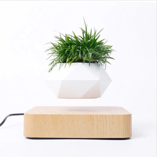 Modern Desk Decor Levitating Flower Pot Light Wood