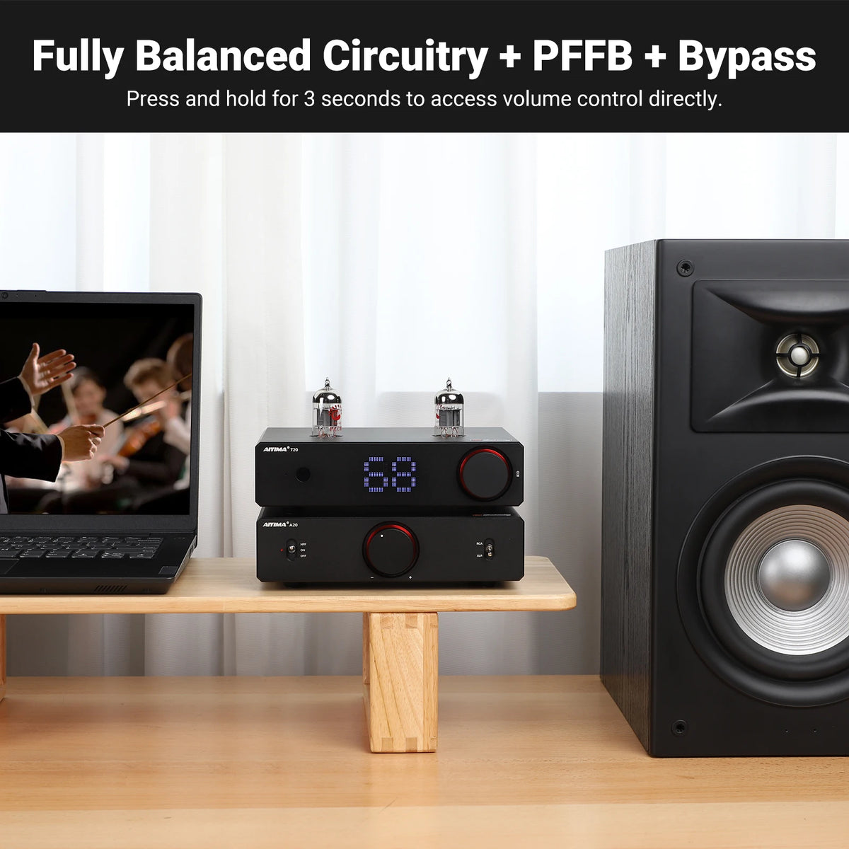 300W X2 HiFi Stereo Power Amplifier with XLR RCA