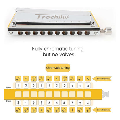 10 Hole Chromatic Harmonica Key C Musical Instrument