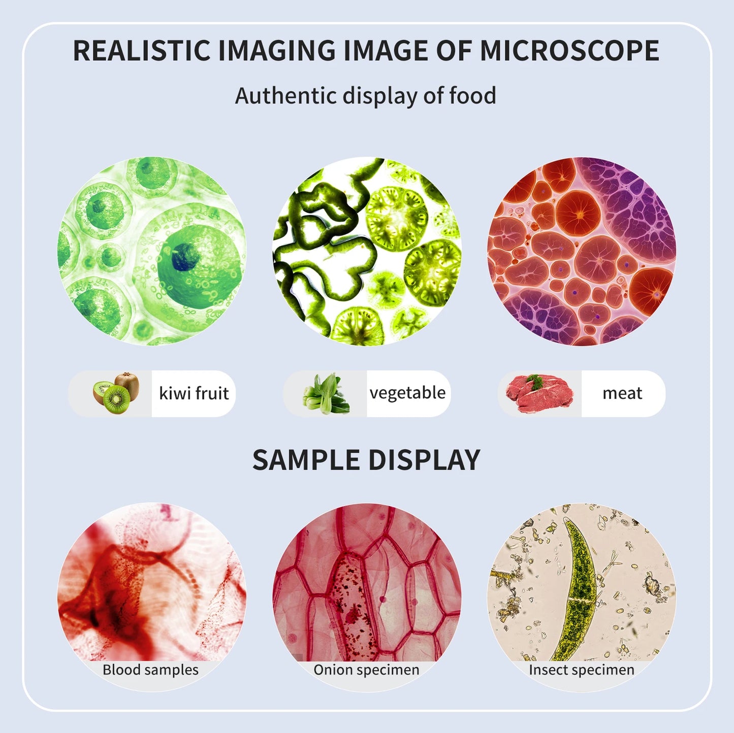 Wireless WiFi Digital Microscope with HD Magnification