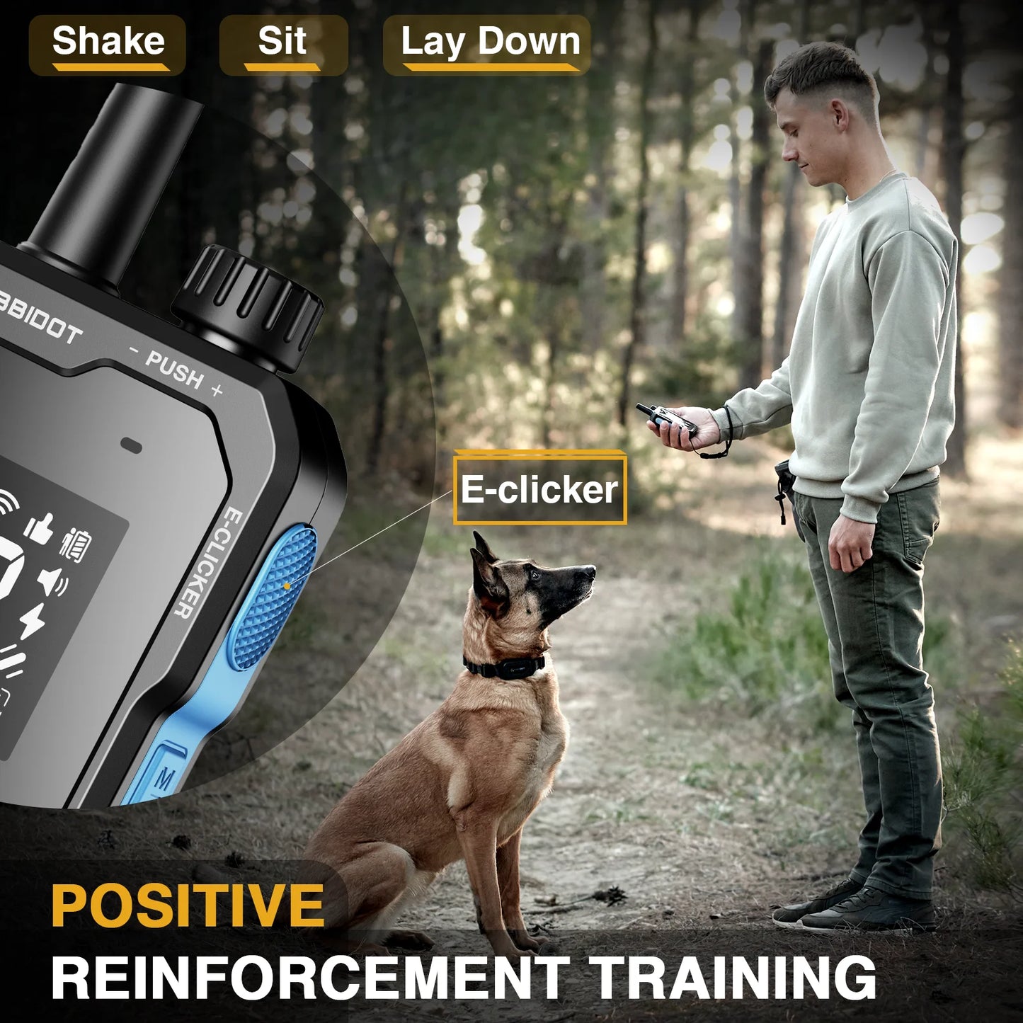 Waterproof Dog Training Collar with Remote 1250m