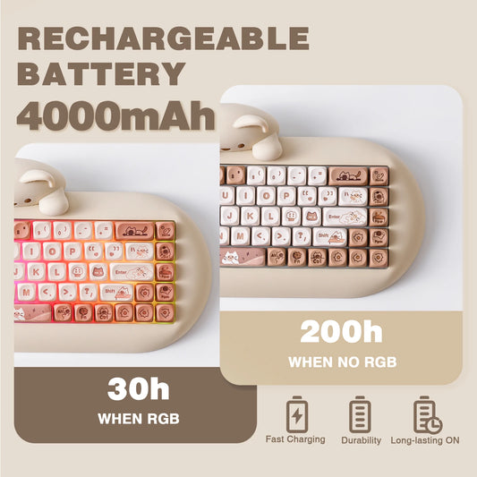 Compact Ergonomic Mechanical Keyboard 65% Wireless RGB