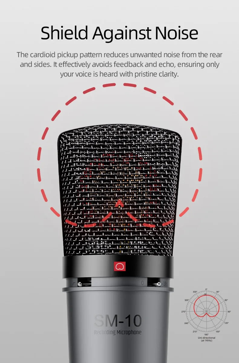 Professional Condenser XLR Microphone for Home Recording