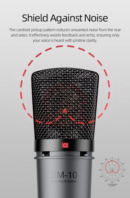 Professional Condenser XLR Microphone for Home Recording