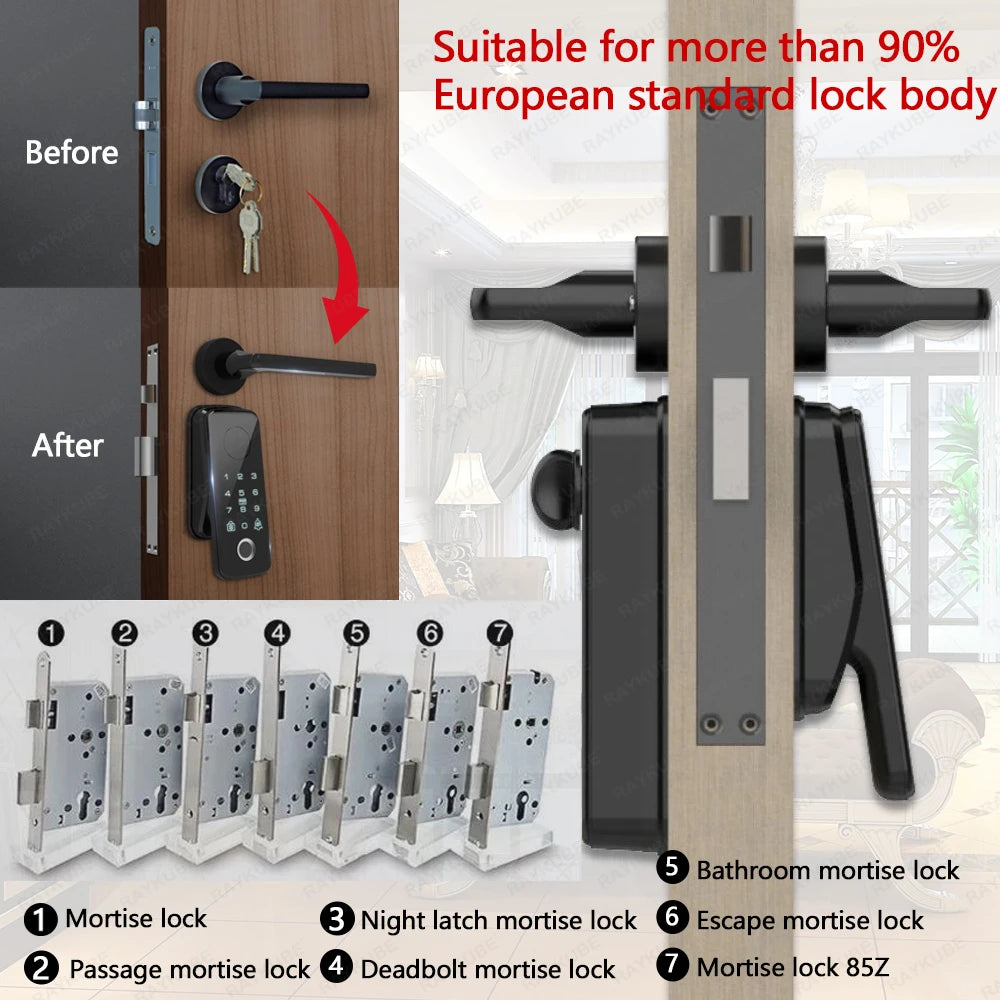Smart Black Fingerprint Lock Set with Remote Access