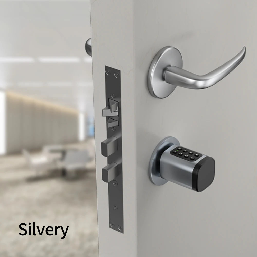 Smart App Control Mortise Lock 35/35