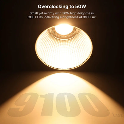 Adjustable 40W COB LED Video Light 0–359° RGB & Bi-Color