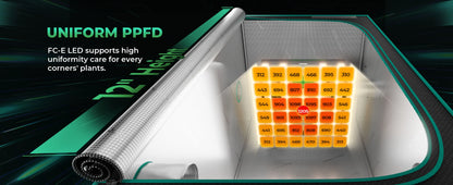 300W Full Spectrum LED Grow Light for Indoor Plants