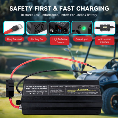 Smart 60A LiFePO4 12V Charger Adjustable Current