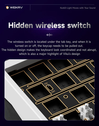 Wireless 65% Aluminum Mechanical Keyboard Gasket Mount