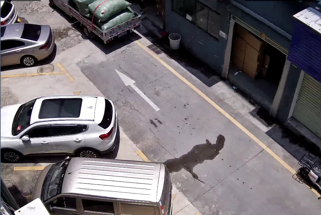 Smart 8MP POE Dome CCTV Camera with Vehicle Tracking