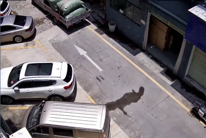 Smart 8MP POE Dome CCTV Camera with Vehicle Tracking
