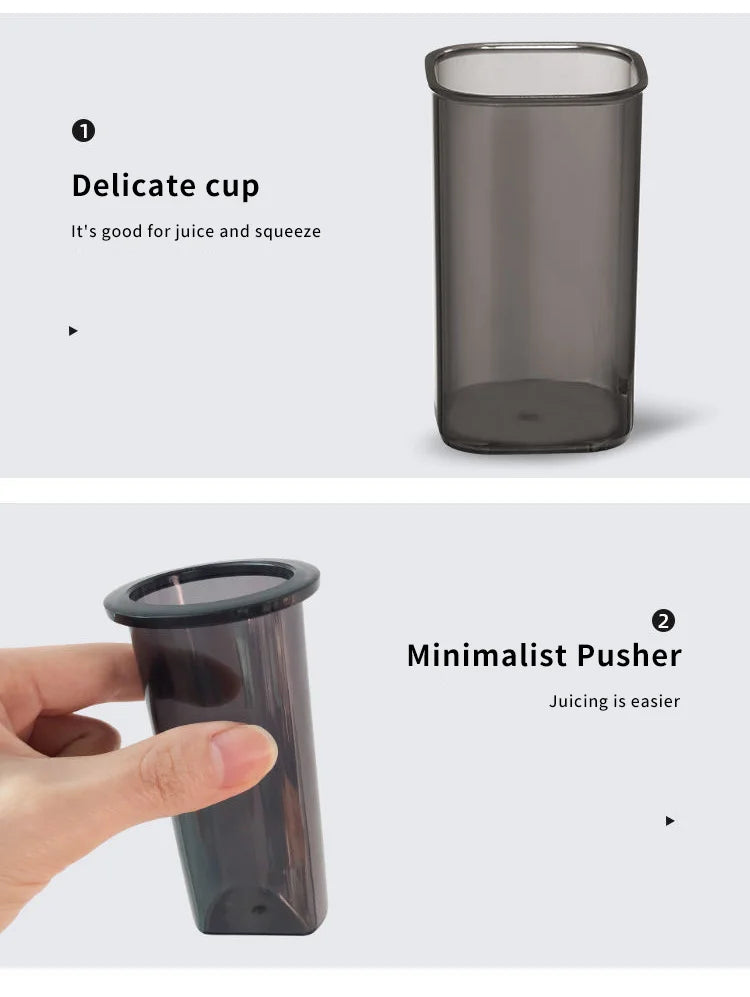 Portable Mini Slow Juicer for Fruit and Vegetable Juicing