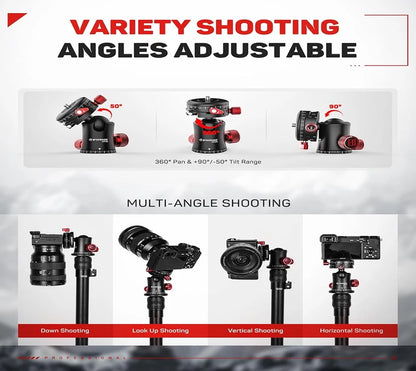 Heavy Duty Tripod Ball Head 360° Pan 10kg Load