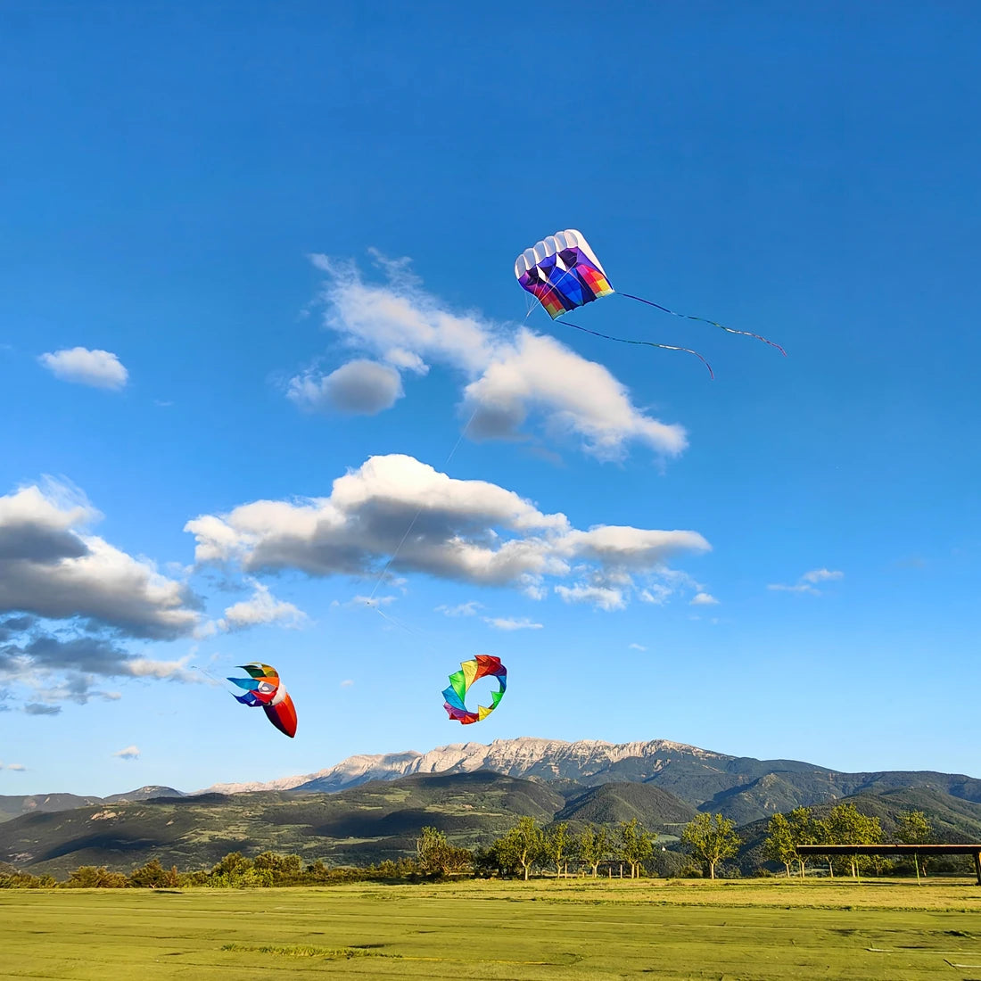 12sqm Inflatable Foil Kite No Tail 30D Nylon