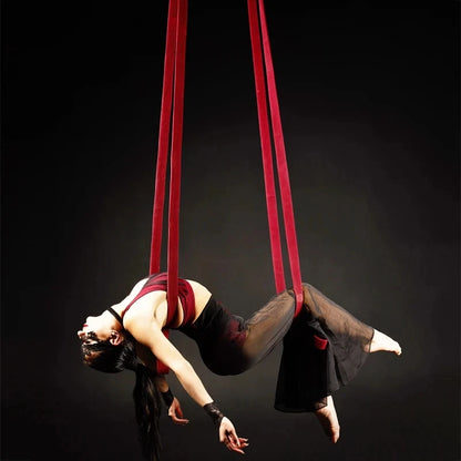 2m Double Loop Aerial Straps Suspension Ropes