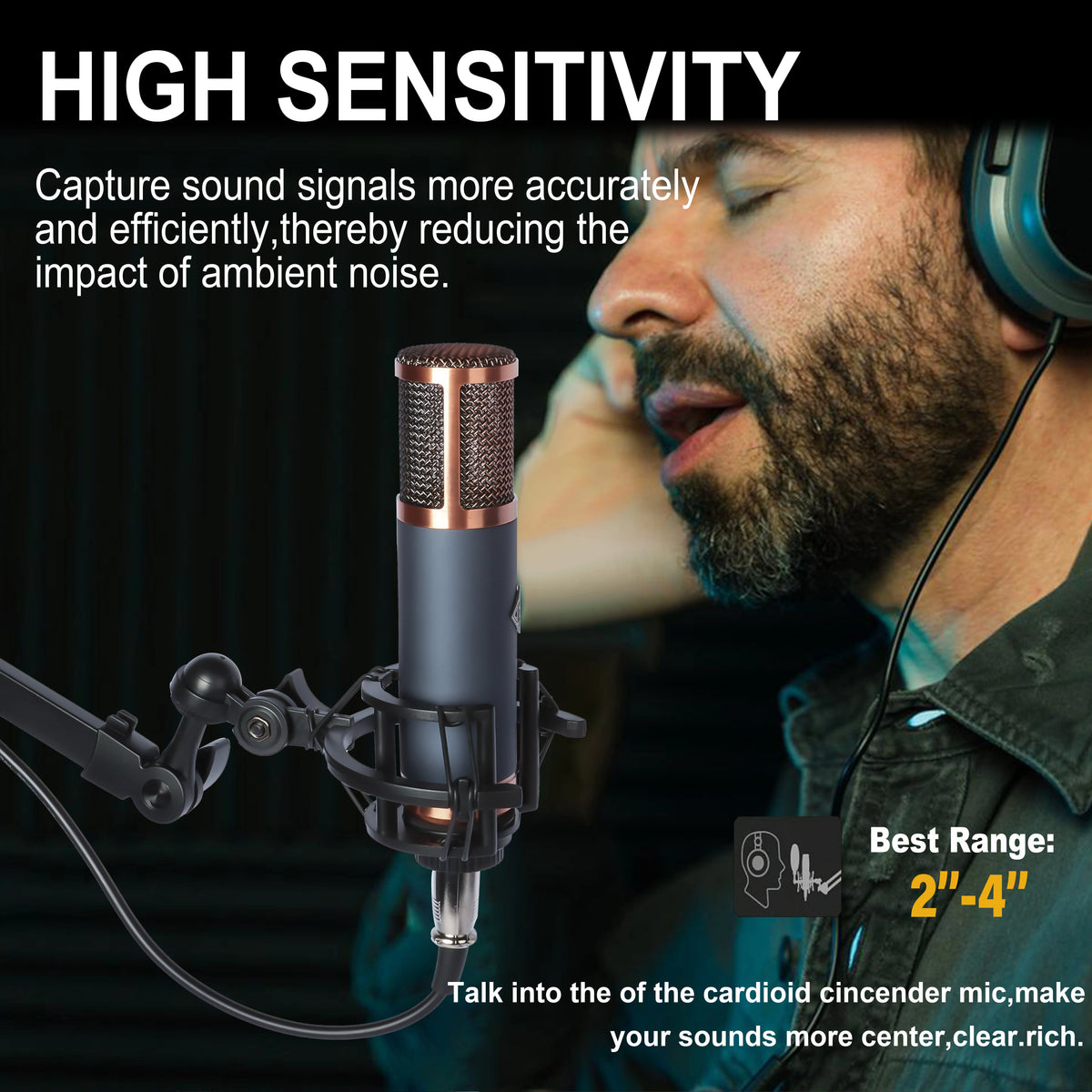 Large Diaphragm Condenser Microphone XLR Studio Recording