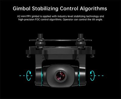 Mini Ultra-Wide FPV Gimbal Camera with Night Vision