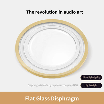 Hi-Fi Dynamic Driver Wired Earphones with Detachable Cable