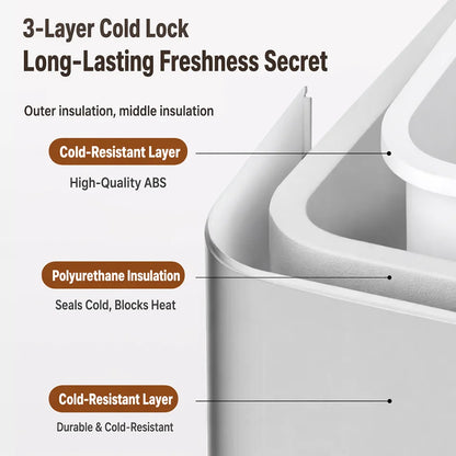 4L Mini Car Fridge Freezer for Car and Home Use