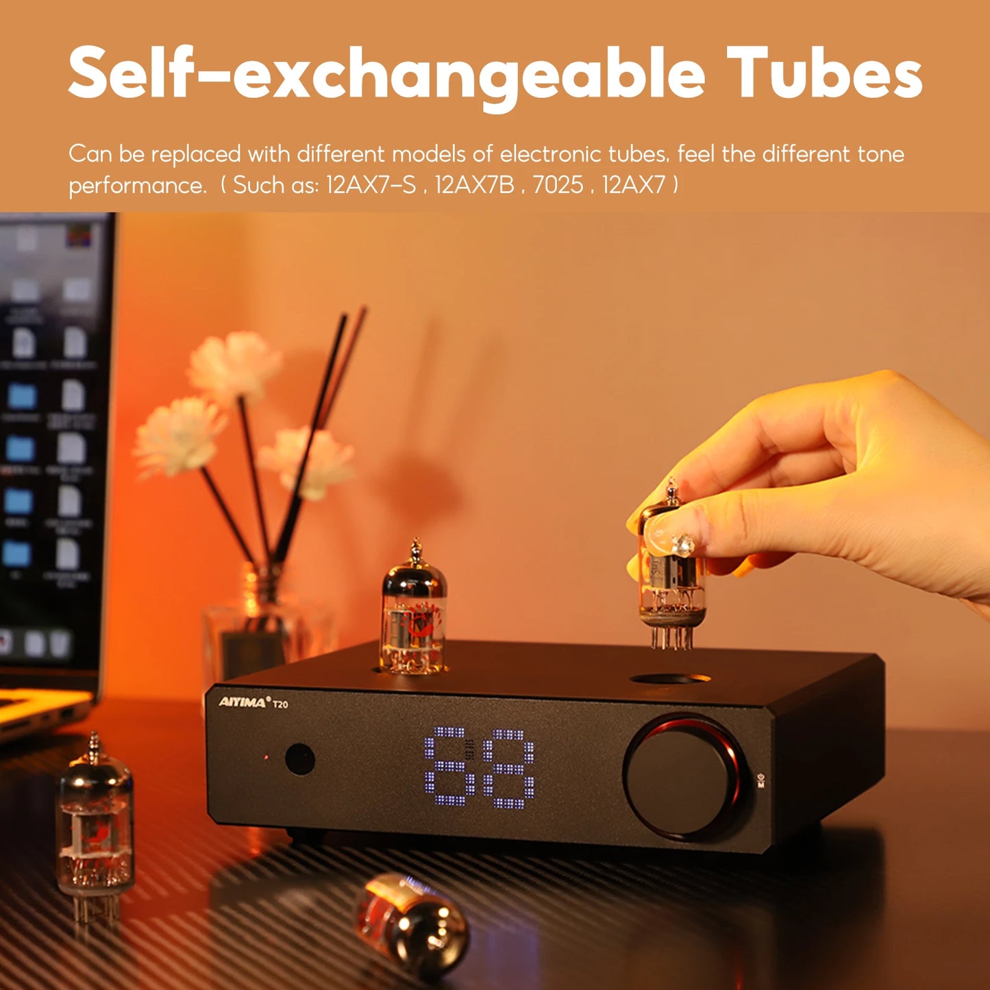 HiFi Vacuum Tube Preamplifier with Balanced XLR and RCA Input