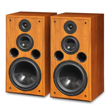 200W 10 Inch Bookshelf Speaker High Bass Silk Tweeter
