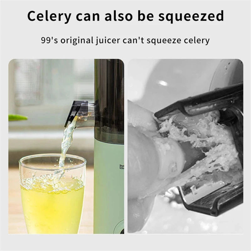 Portable Mini Slow Juicer for Fruit and Vegetable Juicing