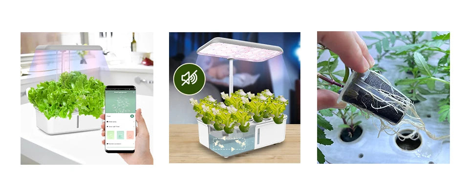 Smart Indoor Herb Garden Kit with LED Grow Light