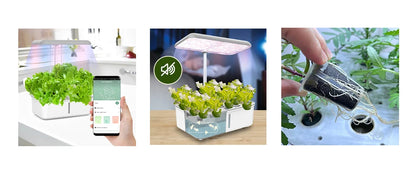 Smart Indoor Herb Garden Kit with LED Grow Light