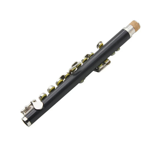 C Key Black Piccolo Flute Set with Carry Case