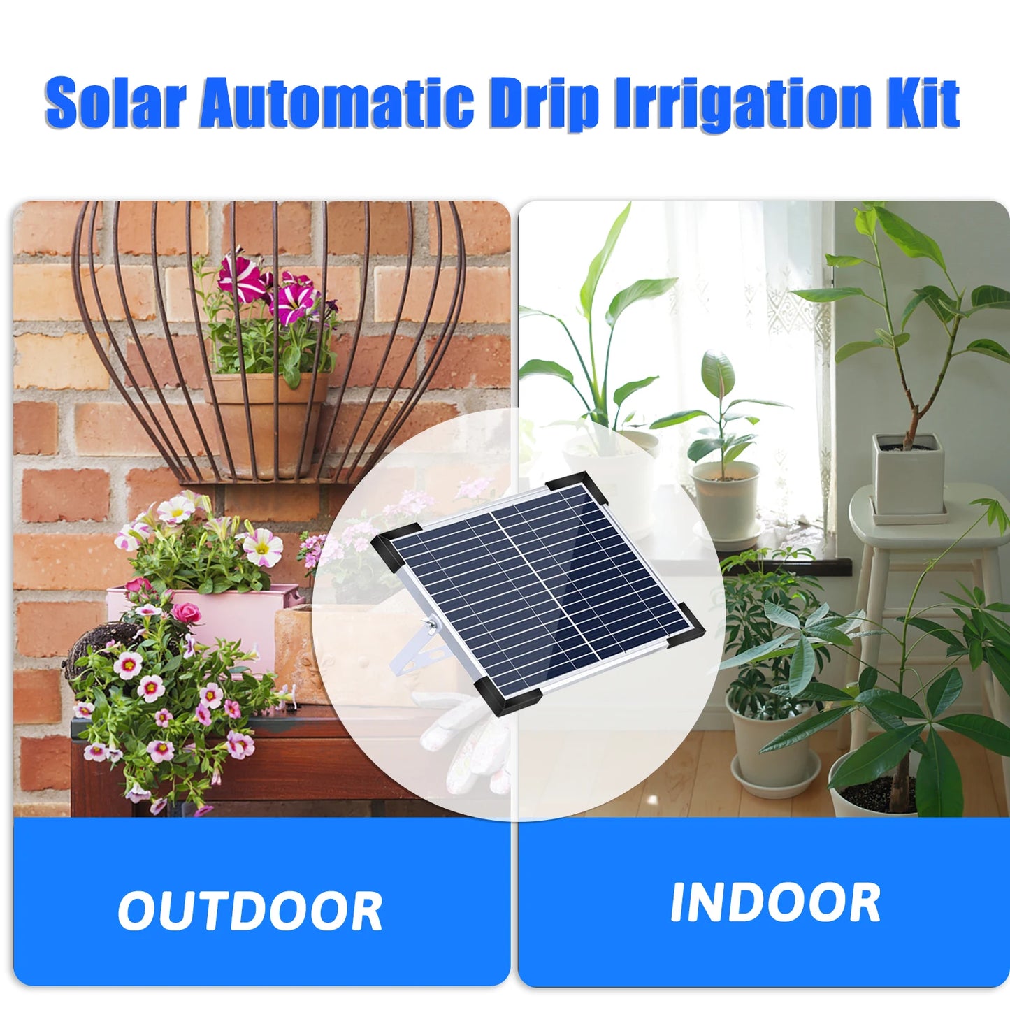 Solar Powered Drip Irrigation System for 50 Plants