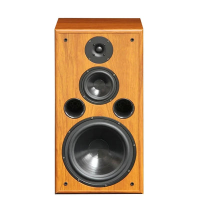 200W 10 Inch Bookshelf Speaker High Bass Silk Tweeter