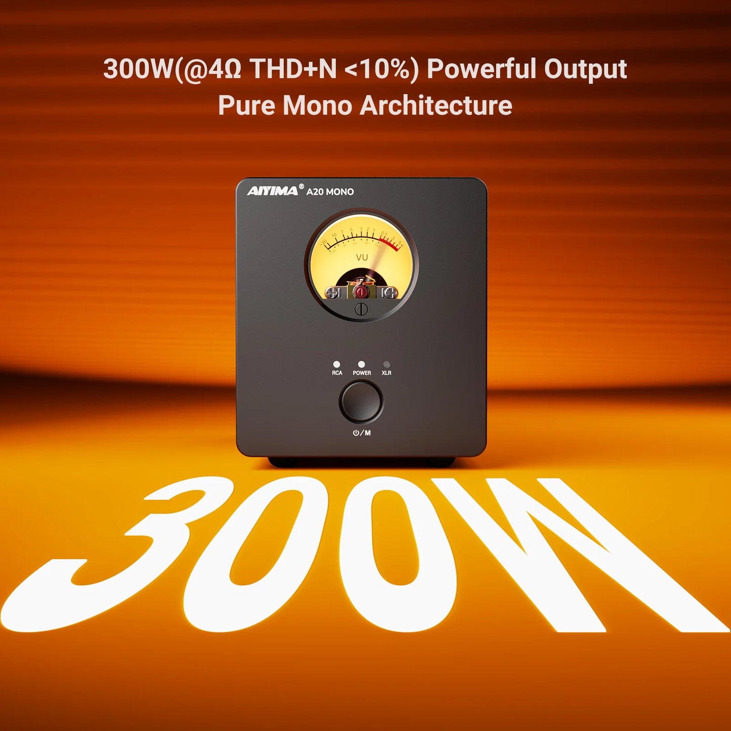 300W Class D Mono Power Amplifier with XLR RCA Input