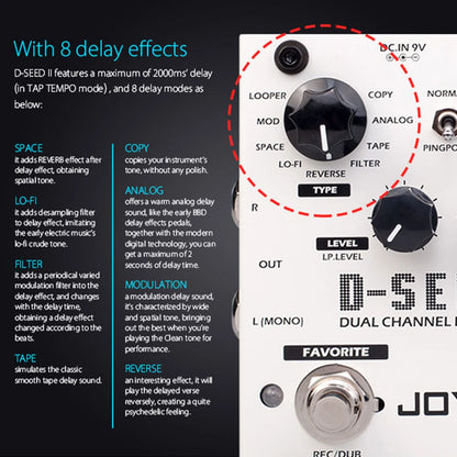 Dual Channel Digital Delay Pedal with Looper and 8 Modes