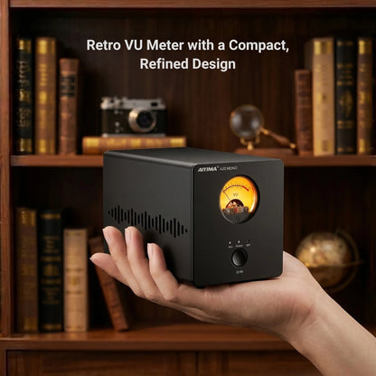 300W Mono Hi-Fi Power Amplifier Class D with XLR Input