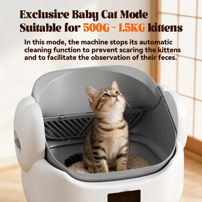 Quiet Smart Self-Cleaning Cat Litter Box with App Control