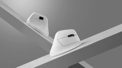 Rechargeable Ergonomic Wireless Mouse with 8K Polling Rate