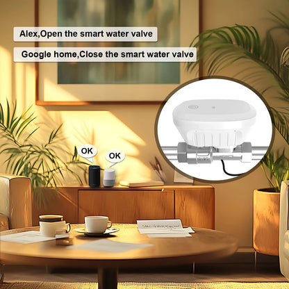Smart WiFi DN20 Water Meter with Flow and Temperature Control