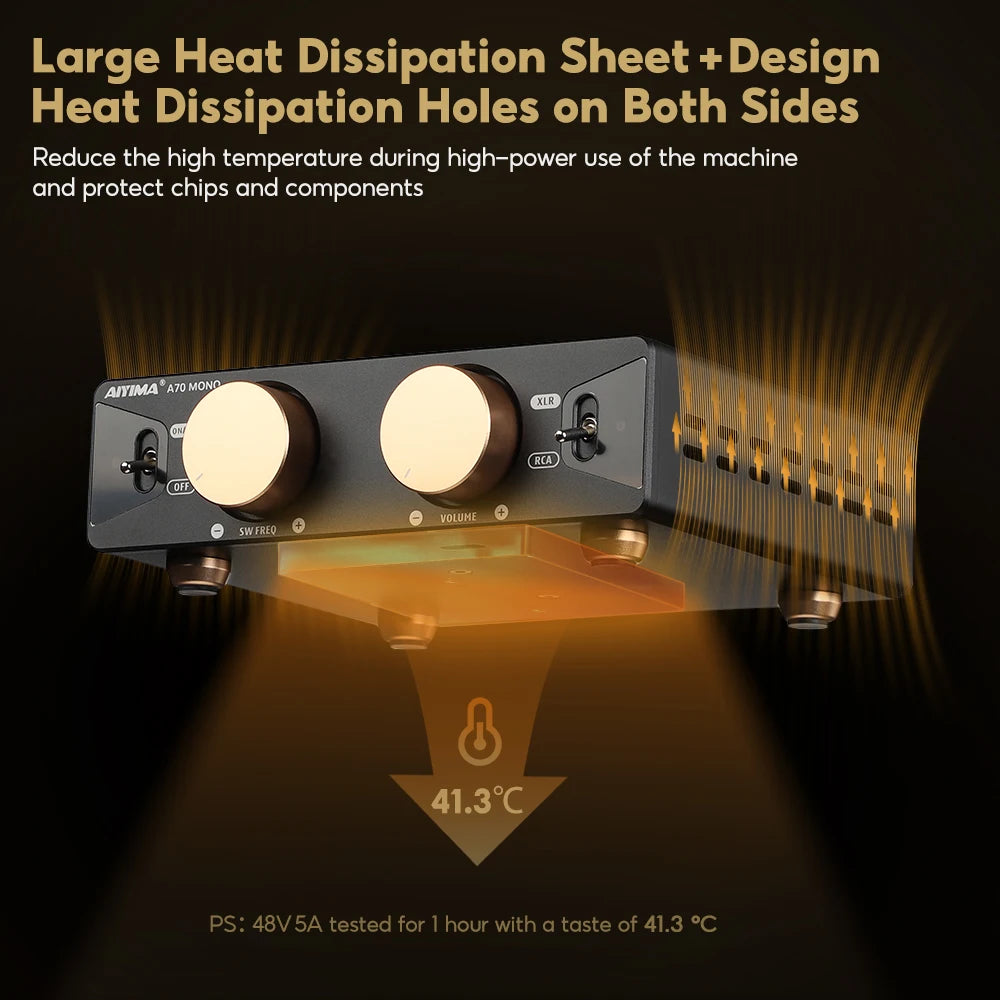 High Power Mono Amplifier 300W TPA3255 with Trigger Input