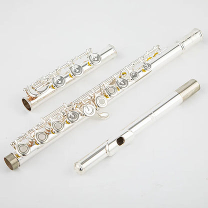 Professional 17-Hole C Key Silver Flute with Case