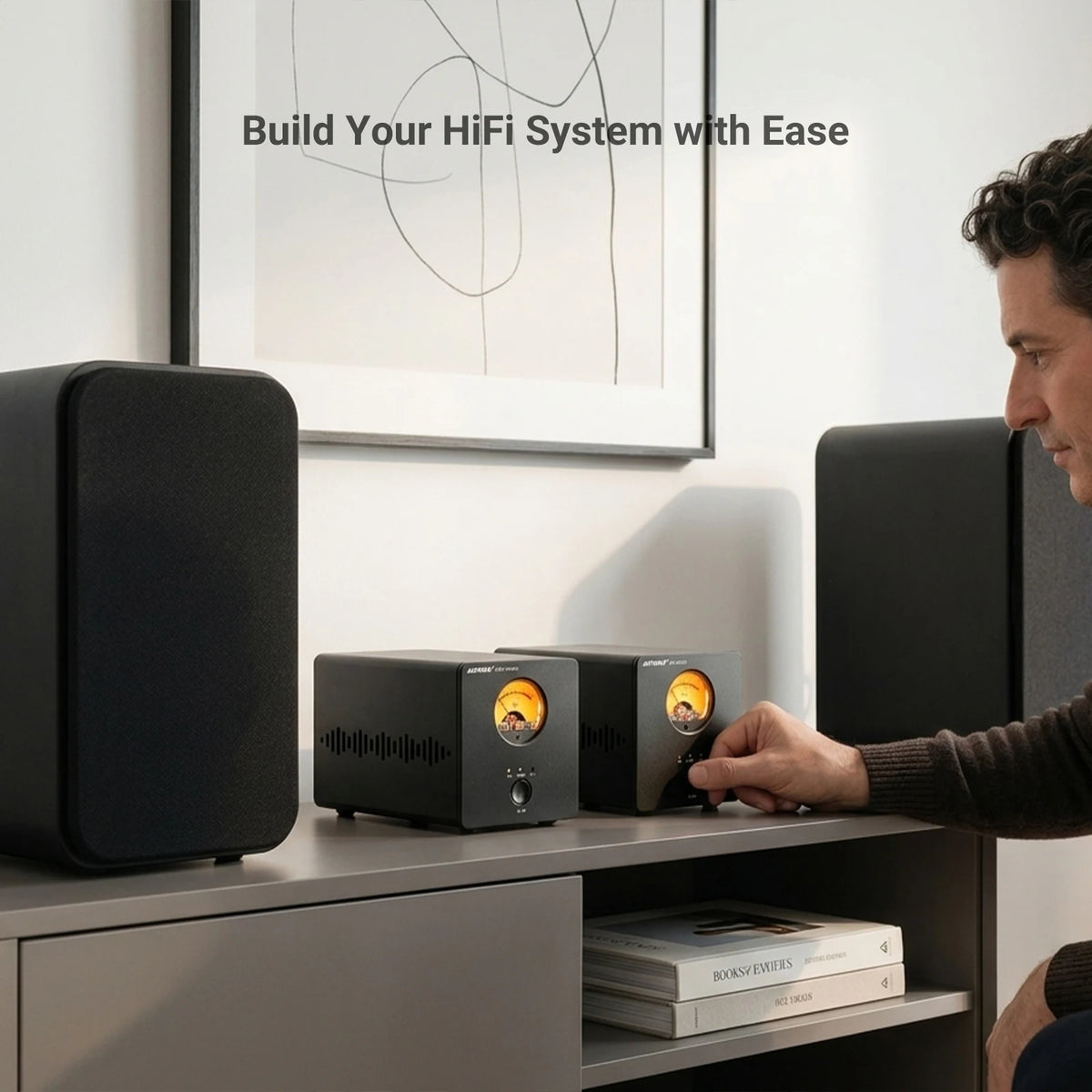 300W Mono Hi-Fi Power Amplifier Class D with XLR Input