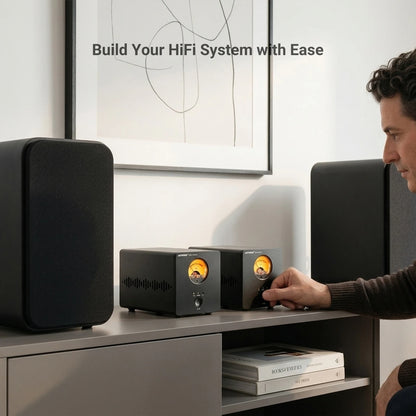 300W Mono Hi-Fi Power Amplifier Class D with XLR Input