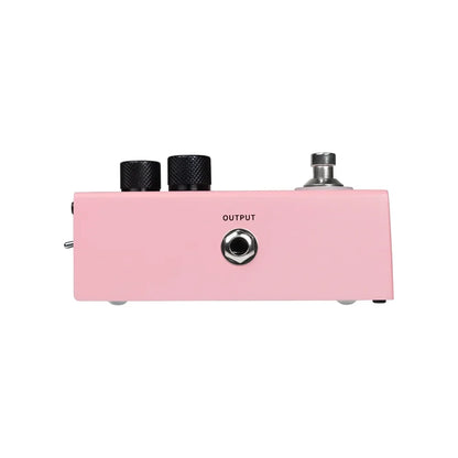 Professional Autuner with Latency Control and Multi-Mode EQ