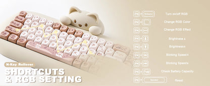 Compact Ergonomic Mechanical Keyboard 65% Wireless RGB