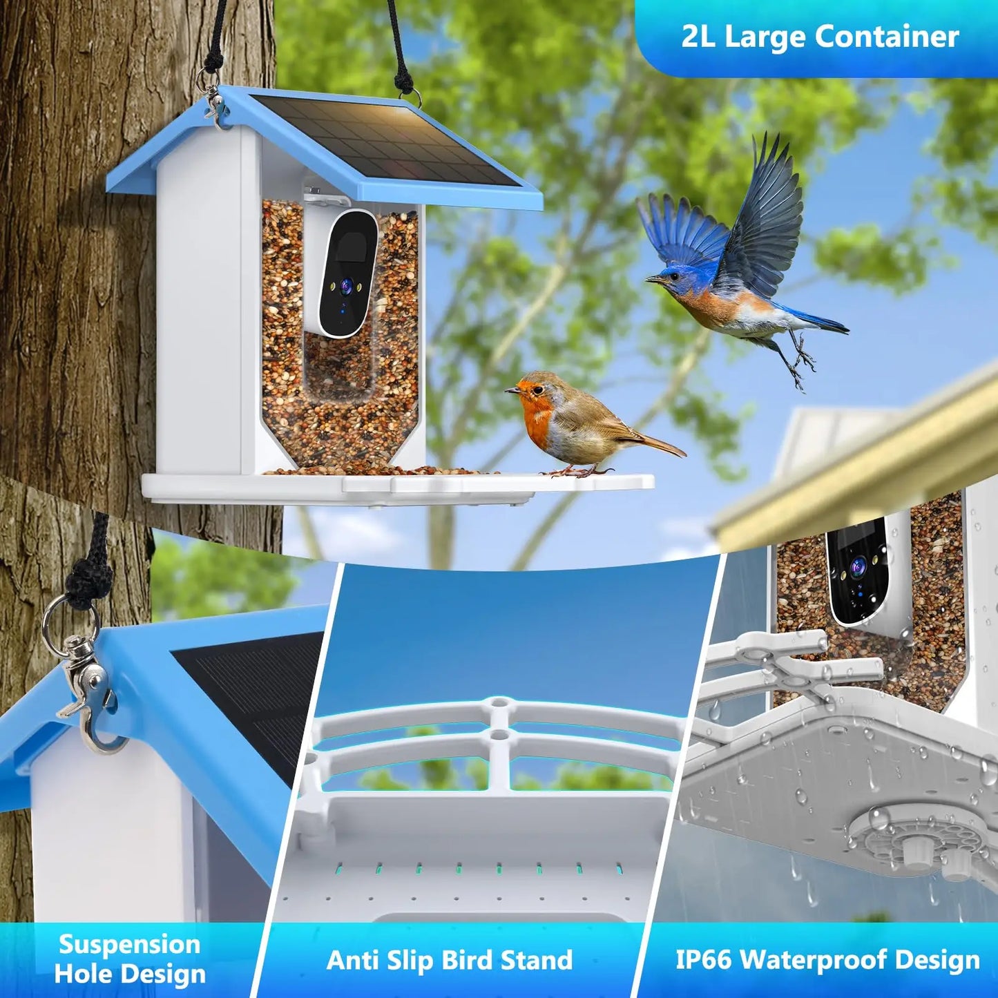 Solar Wi-Fi Bird Feeder with Night Vision IP66