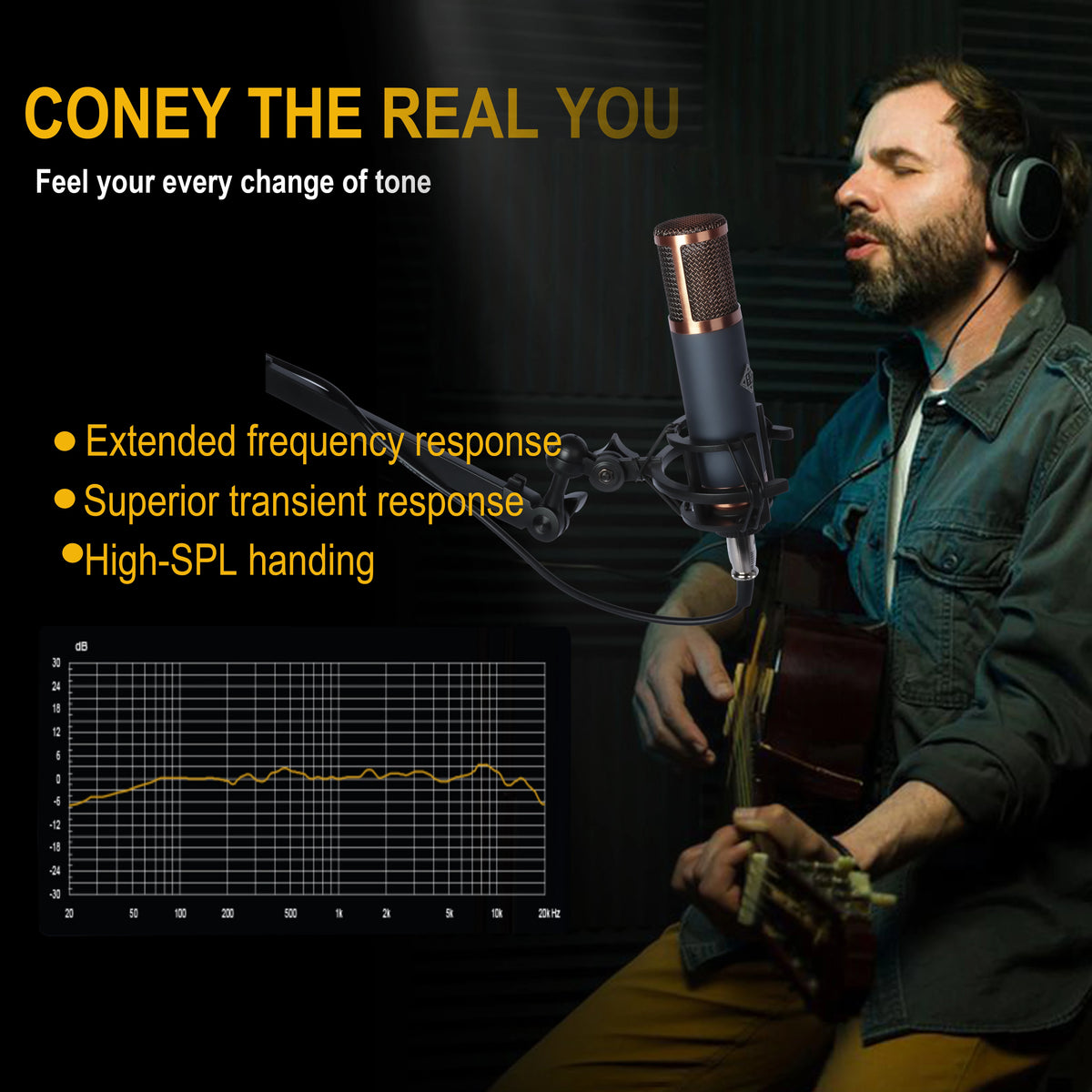 Large Diaphragm Condenser Microphone XLR Studio Recording