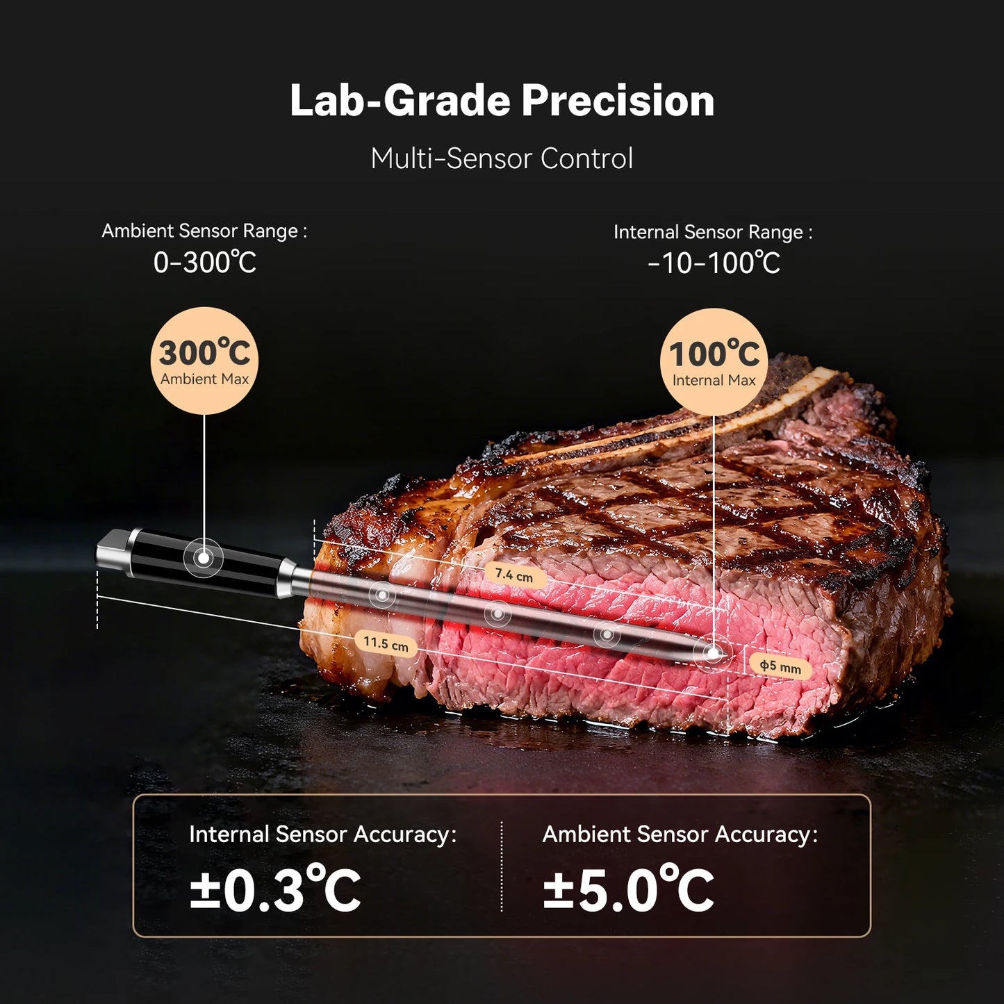 Smart Wireless Meat Thermometer 5 Sensors WiFi Bluetooth IP67