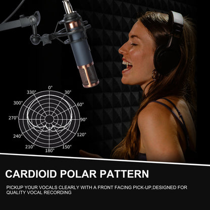 Large Diaphragm Condenser Microphone XLR Studio Recording