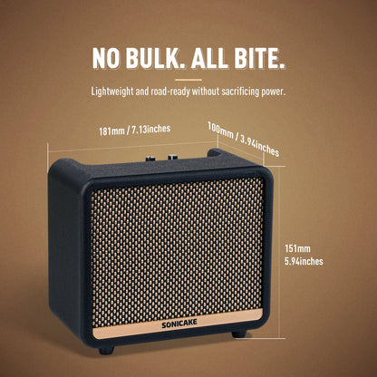 Portable Guitar Practice Amp 10W with 100 Presets